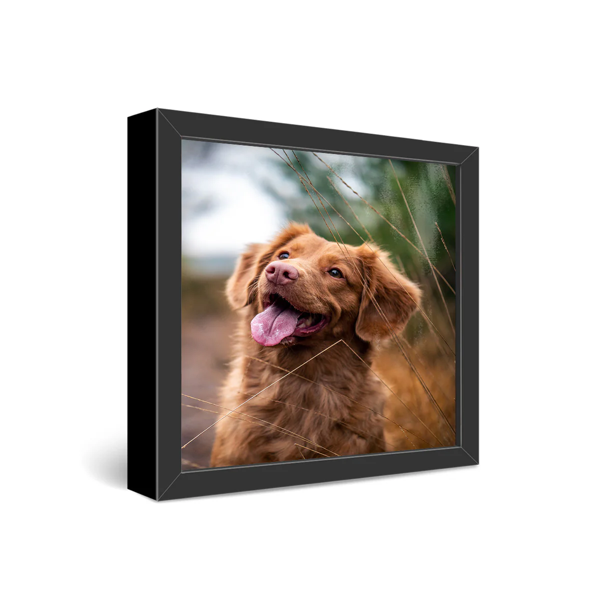 12x12" Framed Metal Print - Image 2
