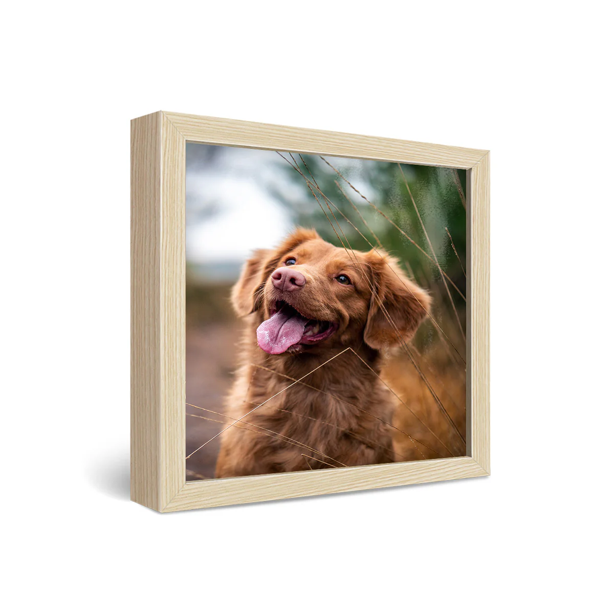 12x12" Framed Metal Print - Image 3