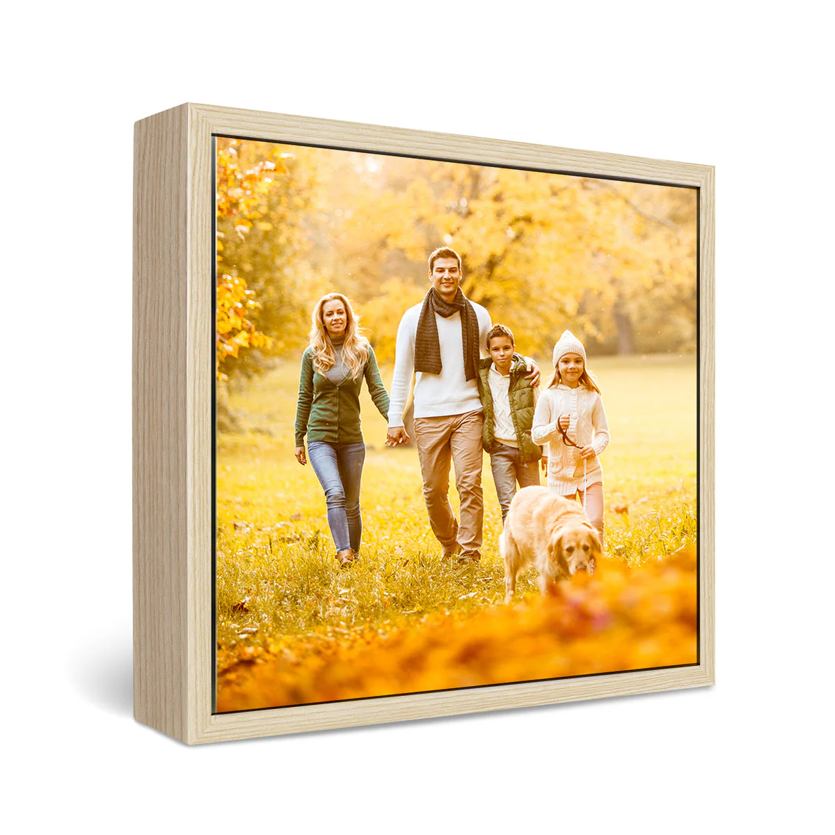 24x24" Framed Canvas Print - Image 3