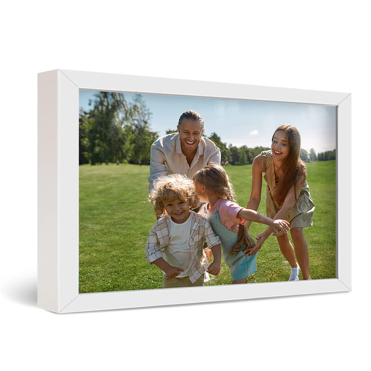 30x40" Framed Metal Print - Image 3